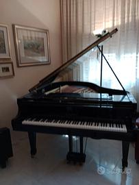 Pianoforte a mezza coda