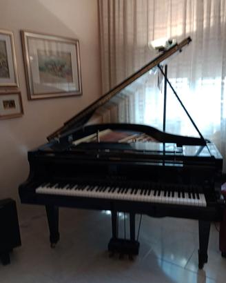 Pianoforte a mezza coda