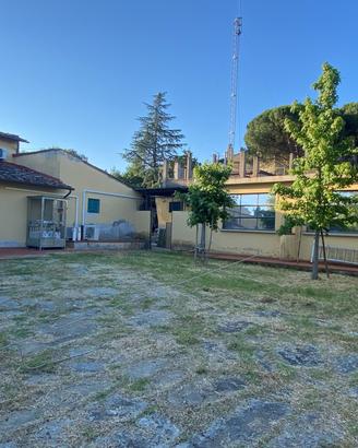 Taglio erba