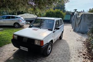 Panda 750 young 1991