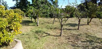Terreno di 2108 m² a Fiumicino
