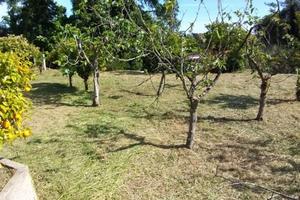 Terreno di 2108 m² a Fiumicino
