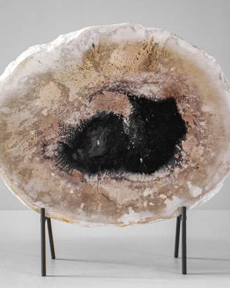 Sezione di legno fossile + supporto in metall