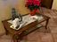 Immagine 1