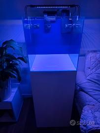 Acquario marino completo 