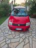 fiat-panda-1-1-actual