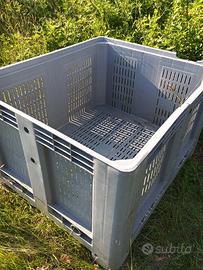 bins cassone plastica