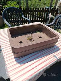 vaso bonsai