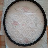 cinghia di trasmissione piaggio
