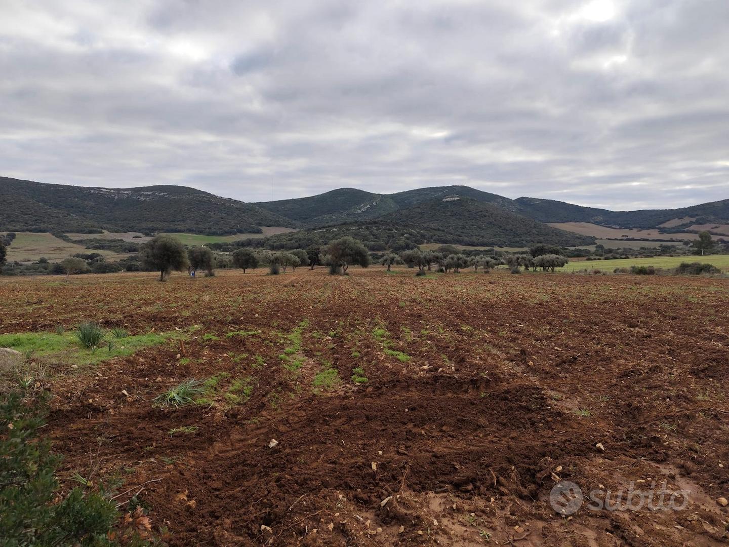 Terreno 31 ettari - Vista 3