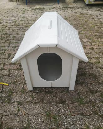 Cuccia cane medio