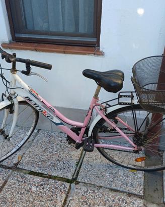 Bicicletta da donna Netbike