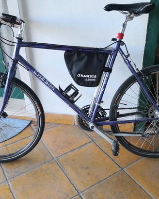 Mtb marca Chesini Capriolo