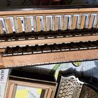 Fisarmonica Dallapè 3/5