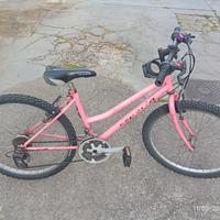 bici 24