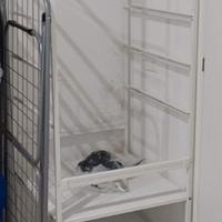 Linea jonaxel ikea