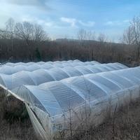Serra per coltivazioni agricole