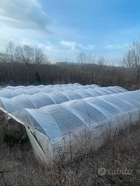 Serra per coltivazioni agricole