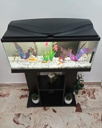 aquario 150 litri con mobile filtro e luce