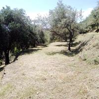 Vedesi terreno agricolo