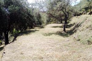 Vedesi terreno agricolo