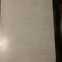Gres porcelannato ideale per bagno