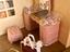Immagine 6
