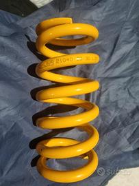 holins molla per mono ttx