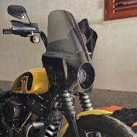 cupolino street bob