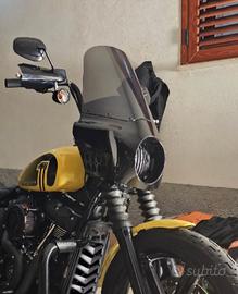 cupolino street bob