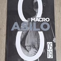 CATALOGO MOSTRA 2019 Macro Asilo museo Roma