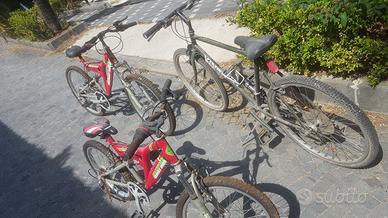 Bici mountain bike usate