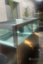 Acquario per ritorant