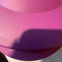 Centrifuga tupperware