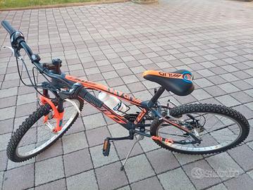 bicicletta professionale