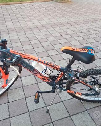 bicicletta professionale