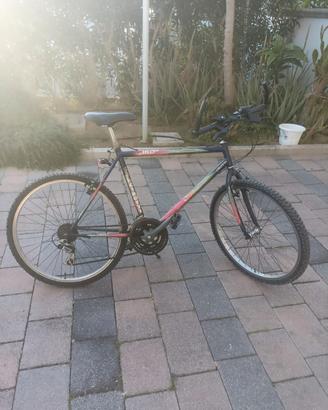 bici mountain bike da corsa