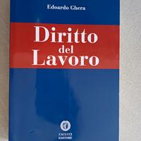 Diritto del Lavoro - Edorardo Ghera