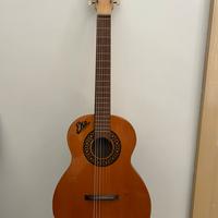 Chitarra Eko Ringo