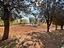 Immagine 26