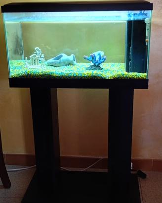 Acquario