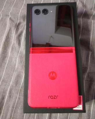 Motorola 