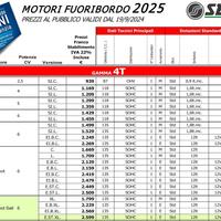 Motore fuoribordo selva nuovo