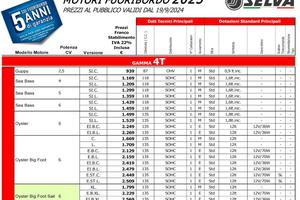 Ribassato - Motore fuoribordo selva nuovo