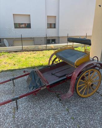 Calesse/Carrozza a due ruote