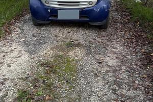 Auto smart