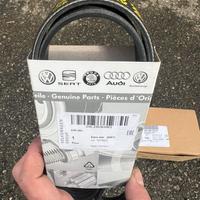 Cinglia poly-v,tendicinglia vw