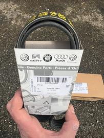 Cinglia poly-v,tendicinglia vw