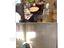 Immagine 12