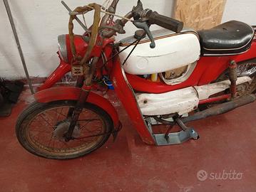 motom scrambler 